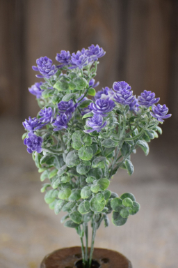 Lavender Spring Bundle