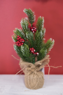 Natural Spruce 16in Tree