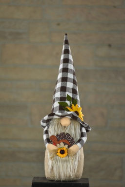 Harry 20in Gnome