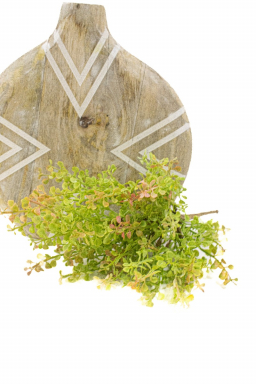 Light Green Pepper Grass Pick 16in