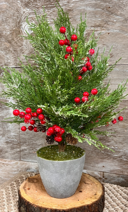 Red Berry Cedar Tree