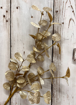 Platinum Eucalyptus Pick