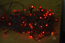 Red 100 Bulb Primitive Rice String Light 19.5 ft Green Cord - Steady On
