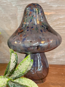 Smokey Glass Mushroom 3.5x5in