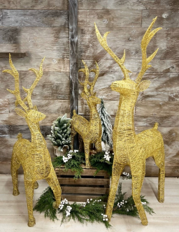 Gold Shimmer Reindeer 48in