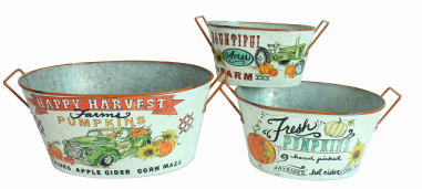 Pumpkin Pails