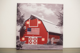 Farmers Pride w/ 4 LED Lights 16in x16in