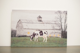White barn w/ 4 LED Lights 16inx24in