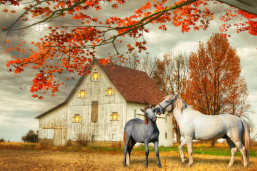 Horse Barn w/ 5 LED Lights 16inx24in